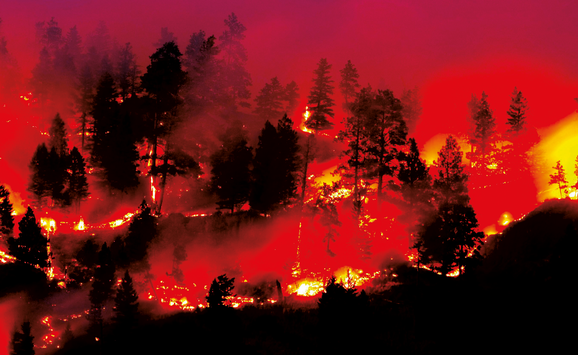 wildfire hero.png